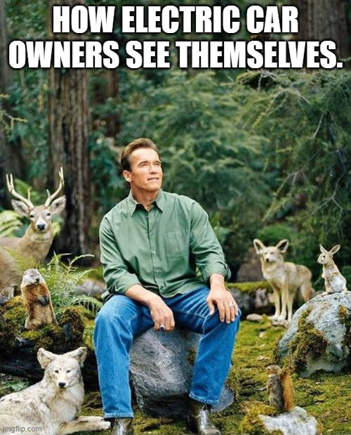 A man sitting in a forest surrounded by woodland animals.