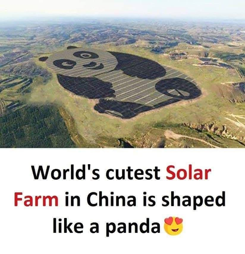 An aerial image of a panda-shaped solar farm.